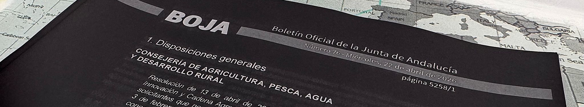abierta Convocatoria 2026